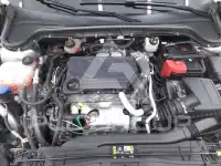 2021 Ford FOCUS