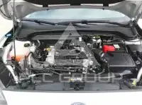 2021 Ford FOCUS