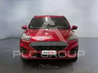 2021 Ford Kuga