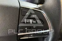 2021 Maxus D60