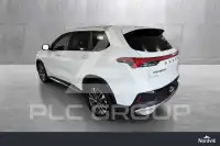 2021 Maxus D60