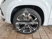 2022 Cupra Other