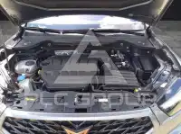 2022 Cupra Other