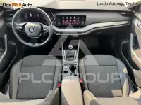 2022 Skoda Octavia