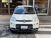 2022 Fiat Panda