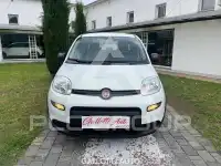 2022 Fiat Panda