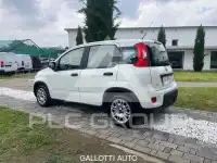 2022 Fiat Panda
