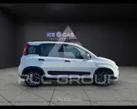 2022 Fiat Panda
