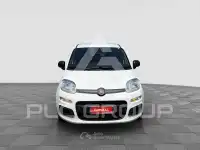 2022 Fiat Panda