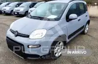 2022 Fiat Panda
