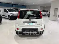 2022 Fiat Panda