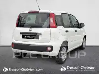 2022 Fiat Panda