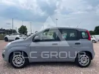 2022 Fiat Panda