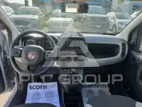 2022 Fiat Panda