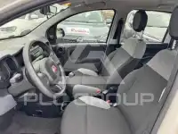 2022 Fiat Panda