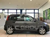 2022 Fiat Panda