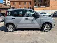 2022 Fiat Panda