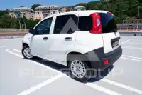 2022 Fiat Panda