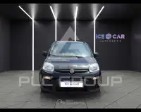 2022 Fiat Panda