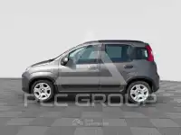 2022 Fiat Panda