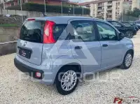 2022 Fiat Panda