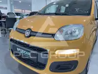 2022 Fiat Panda