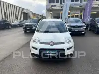 2022 Fiat Panda