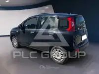 2022 Fiat Panda