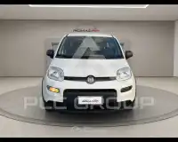 2022 Fiat Panda