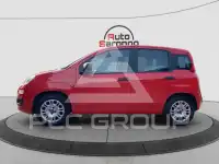 2022 Fiat Panda