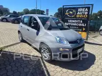 2022 Fiat Panda