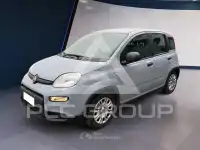 2022 Fiat Panda