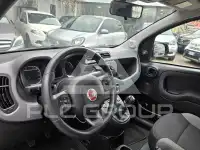 2022 Fiat Panda