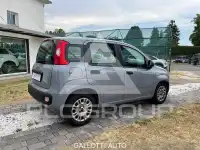 2022 Fiat Panda