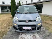 2022 Fiat Panda