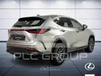 2022 Lexus NX