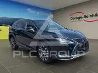 2022 Lexus RX