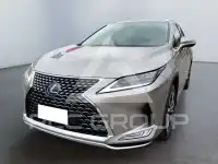 2022 Lexus RX
