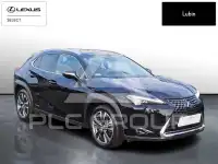 2022 Lexus UX