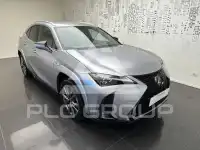 2025 Cupra Other
