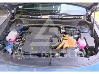 2022 KIA Niro