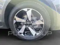 2022 Ford FOCUS