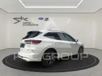 2022 Ford Kuga