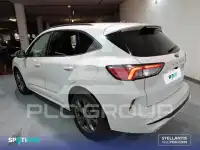 2022 Ford Kuga