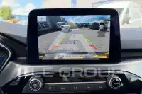 2022 Ford Kuga
