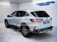 2022 Ford Kuga