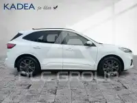 2022 Ford Kuga