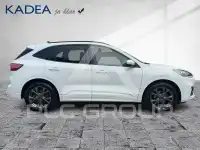 2022 Ford Kuga
