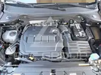 2022 Seat Alteca