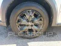 2023 Dacia Sandero